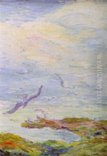 Sea Gulls, Gloucester, Mass. - view 1
