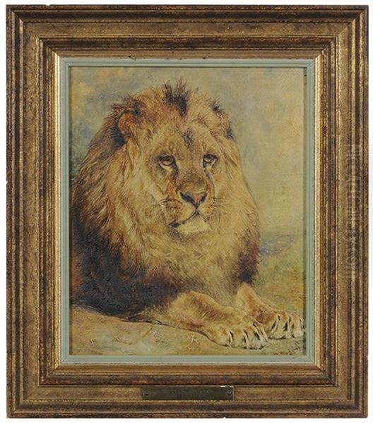 Recumbent Lion - view 1