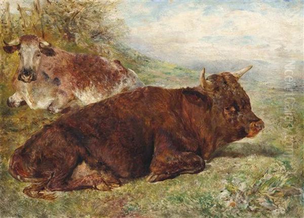 Young Bull Of The Welsh Breed, And Cow - view 1