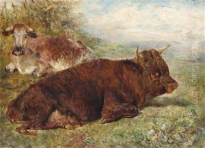 Young Bull Of The Welsh Breed, And Cow by William Huggins
