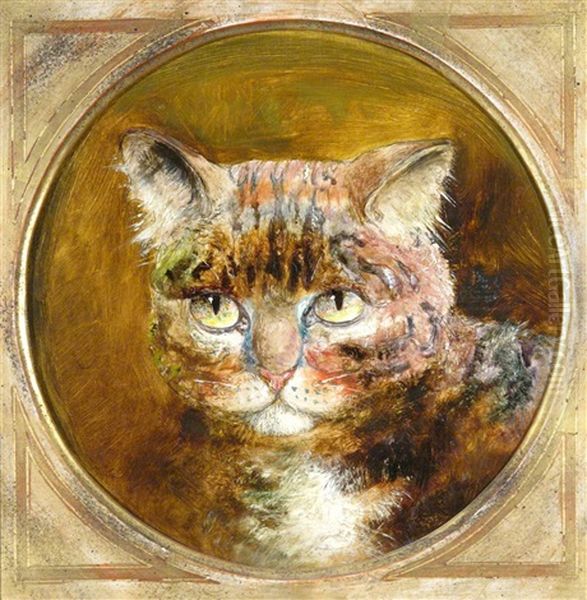Study Of A Cat - view 1