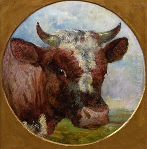 Head Of A Bull