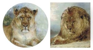 Resting Lion (+ Lioness; 2 Works) by William Huggins