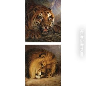 A Bengal Tiger (+ And A Sleeping Lion; Pair) by William Huggins