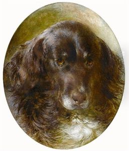 Portrait Of A Newfoundland by William Huggins