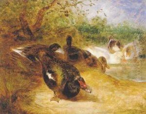 Ducks by William Huggins