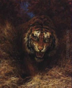Tiger In The Grass