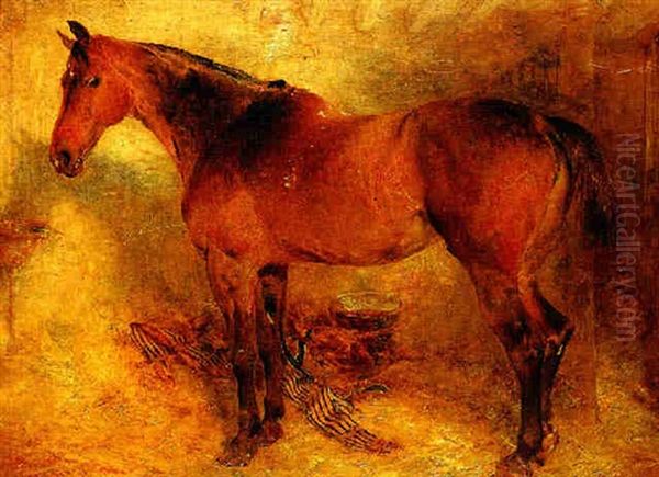 Horse In A Loose Box - view 1