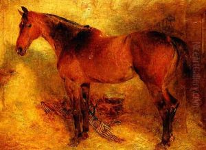 Horse In A Loose Box