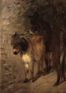 Two Donkeys Two Donkeys
