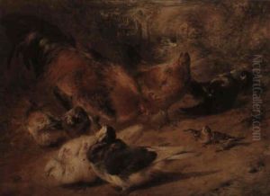 Fowl And Pigeons by William Huggins