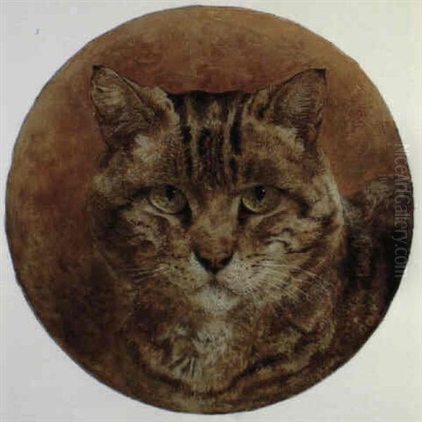Head Of Tabby Cat - view 1