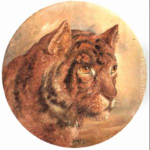 Study Of A Wild Cat's Head by William Huggins