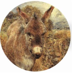 A Donkey At A Style