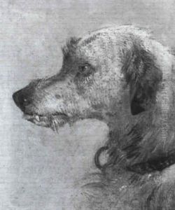 Study Of The Head Of A Wolfhound