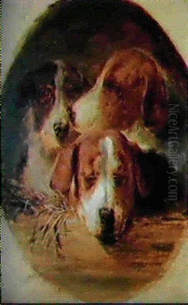 Fox Hounds - view 1