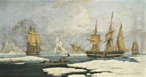 The Northern Whale Fishery
