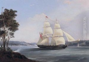 The Brig "ullswater" Off Sydney Harbour