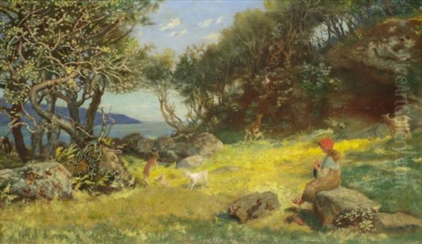 Goats At Play - view 1