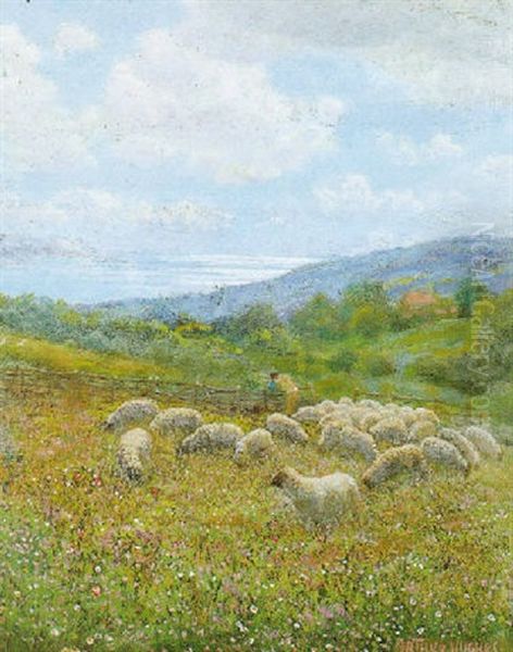 Summer Pasture - view 1