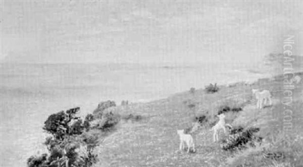 A Sussex Cliff - view 1