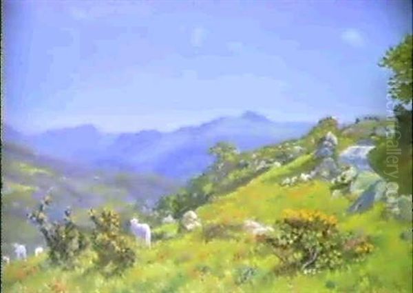 A Hilly Landscape - view 1