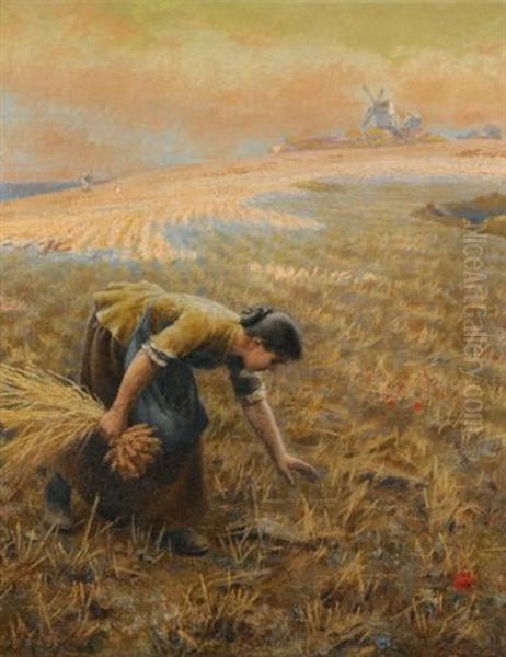 Gleaning - view 1
