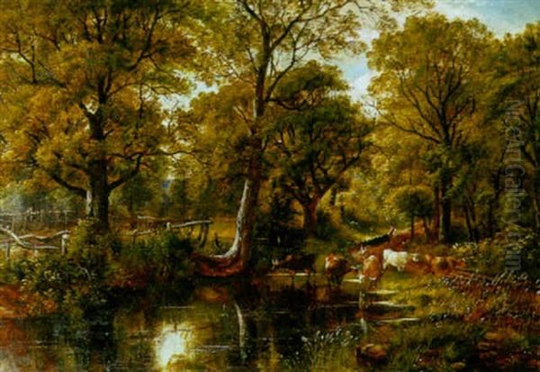 Cattle Watering At A Wooded Pond - view 1