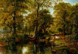 Cattle Watering At A Wooded Pond