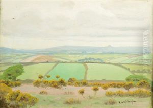 Landscape Landscape