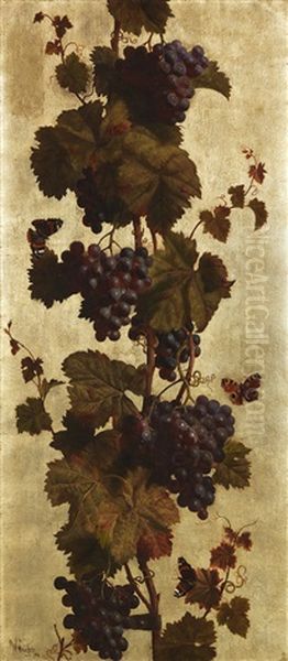 Weinreben, Weis Und Rot - view 1