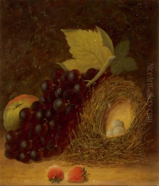 Fruchtestillleben Mit Vogelnest - view 1