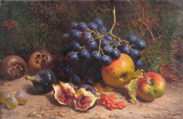 Still Life Of Grapes, Apples, Figs And Medlars - view 1
