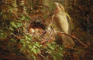 Chaffinch Nesting (+ Green Finch Guarding The Nest; Pair) by William Hughes