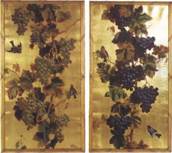 Black Grapes - view 1