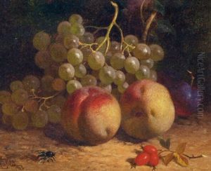 Still Life Of Peaches, Grapes, Plums, Rosehips And A Fly, On A Mossy Bank by William Hughes