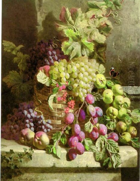 A Red Admiral, With Grapes In A Wicker Basket And Fruit On A Stone Ledge - view 1