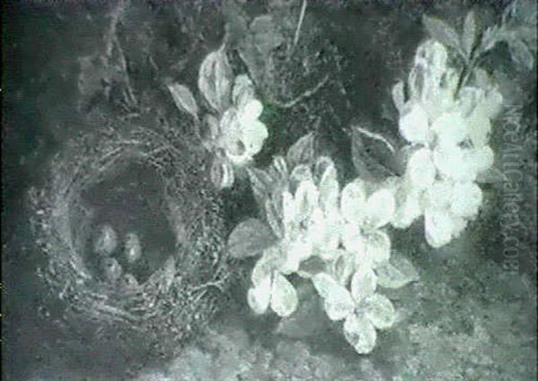 Still Life Of Bird's Nest And Apple Blossom - view 1