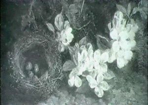 Still Life Of Bird's Nest And Apple Blossom by William Hughes
