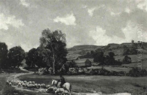 Returning Home With The Flock - view 1