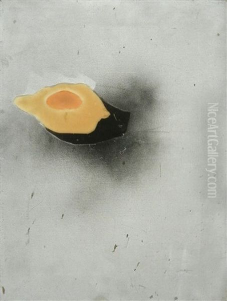 Fried Egg - view 1