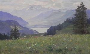 Vue Sur Le Leman Et Les Dents Du Midi Depuis Les Avants Vue Sur Le Leman Et Les Dents Du Midi Depuis Les Avants