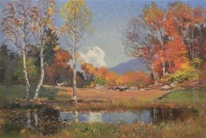 Petit Lac, Saviese Petit Lac, Saviese