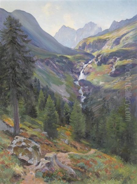 Wilder Gebirgsbach Im Sommer - view 1