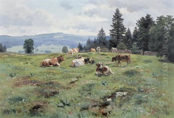 Sommerliche Wiesenlandschaft Mit Weidenden Kuhen - view 1