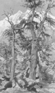 Alte Kiefern Bei Saas-fee by Paul Huguenin-Virchaux
