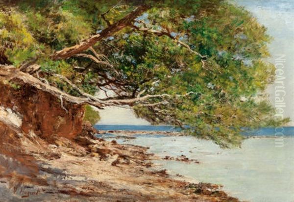 Coastal Scene - view 1