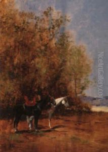 Chevaux Au Repos