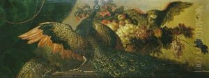 Paon Et Perroquet Autour D'une Corbeille De Fruits