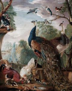 The Peacock by H. Barreth